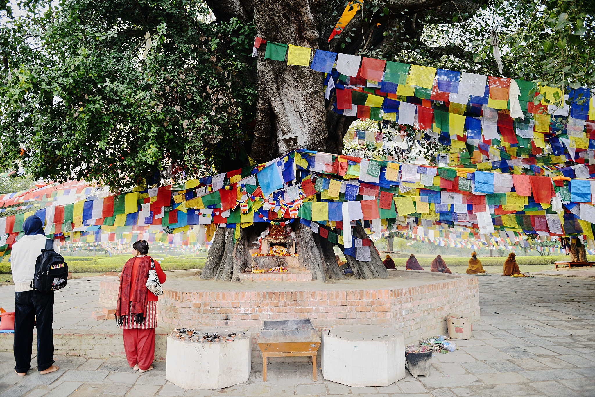 20140111 016 룸비니(부처 탄생지)